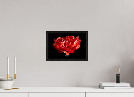 12 x 8″, Floater Frame Fierce Grace