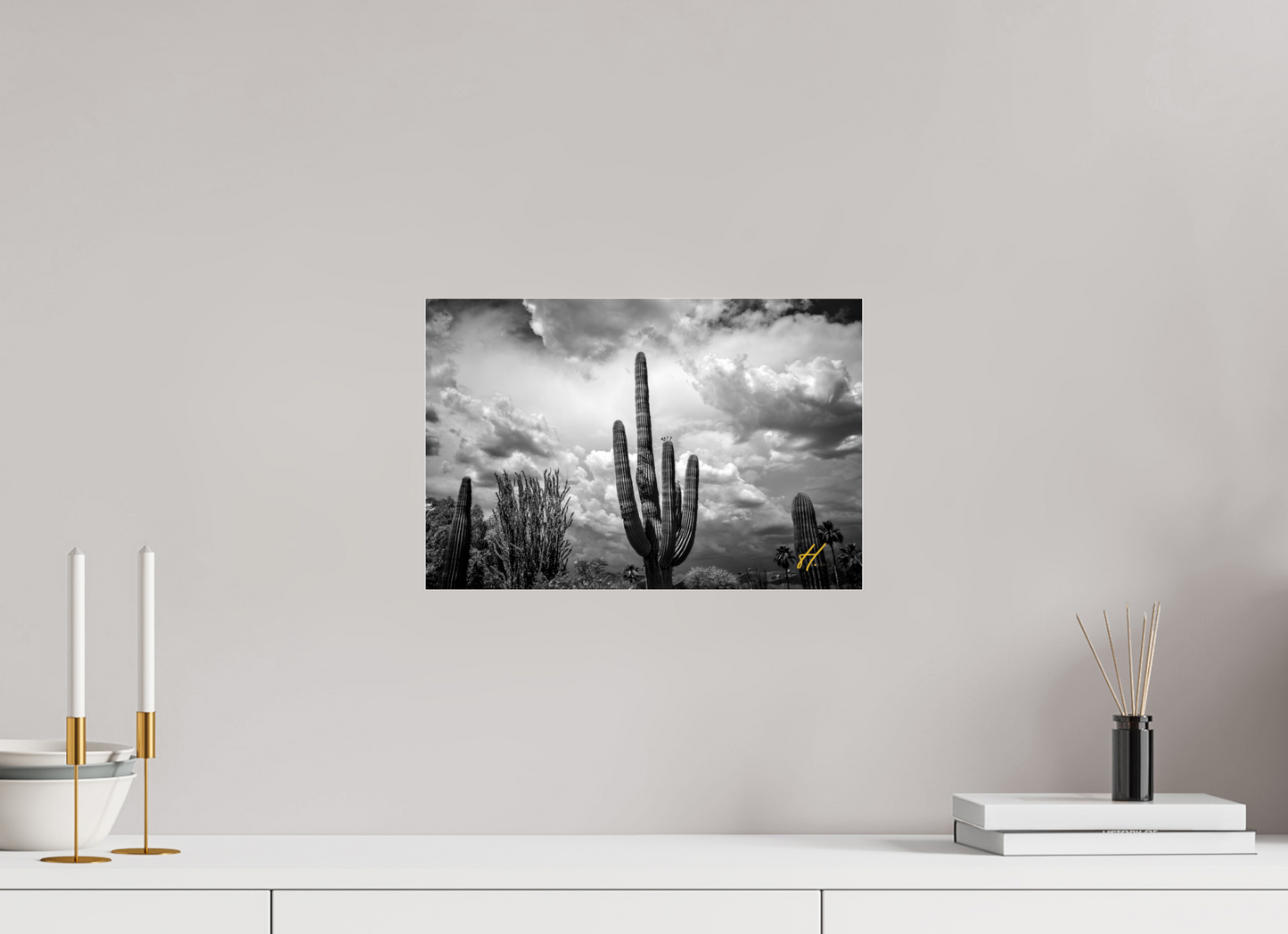 15 x 10″, Photo Print Under Acrylic Glass Endure