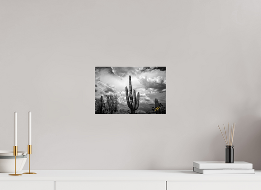 12 x 8″, Photo Print Under Acrylic Glass Endure